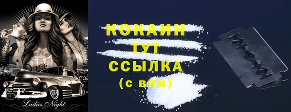 дмт Инта