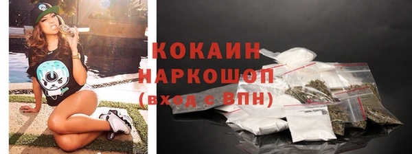 ECSTASY Инсар