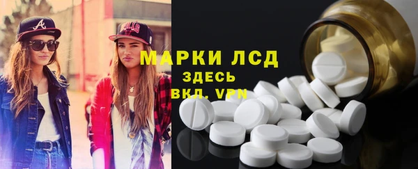 ECSTASY Инсар