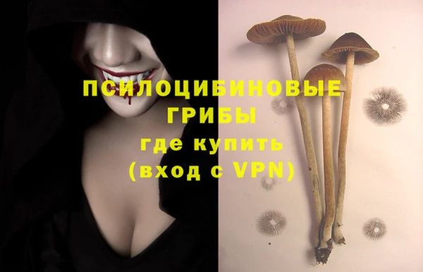 jwh Иннополис