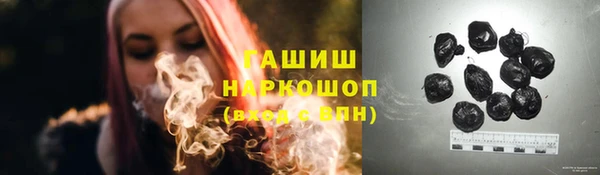 дмт Инта