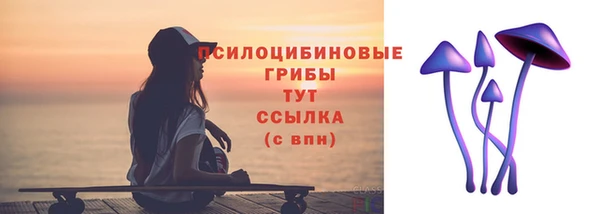 ECSTASY Инсар