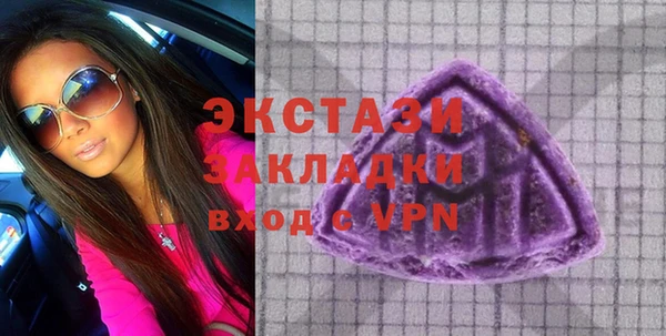 ECSTASY Инсар