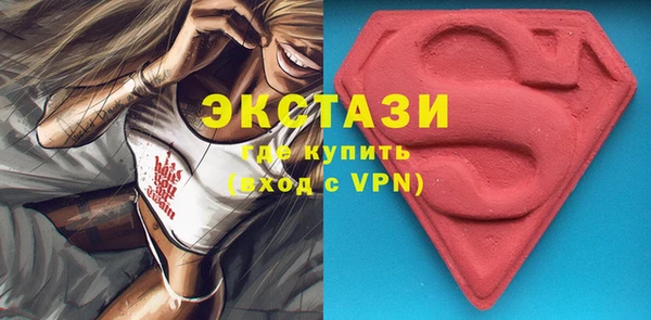 ECSTASY Инсар