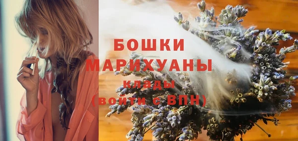 дмт Инта