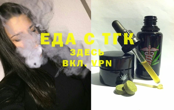 дмт Инта