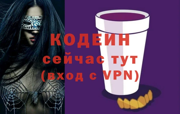 дмт Инта