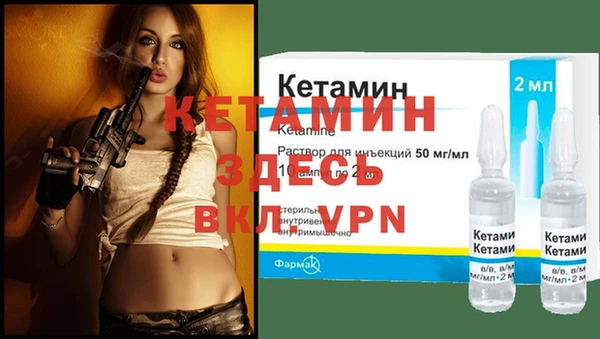 дмт Инта