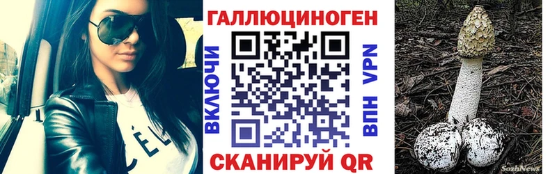 Галлюциногенные грибы Cubensis  Купить  Пошехонье 